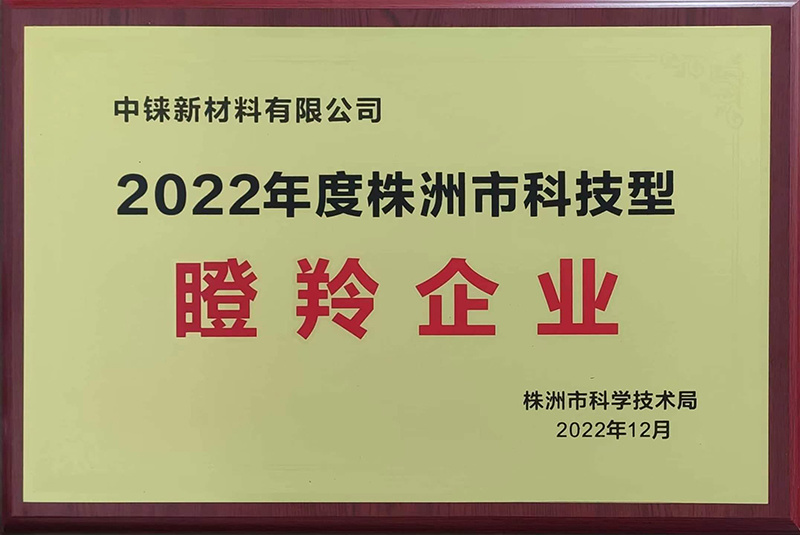 瞪羚企业