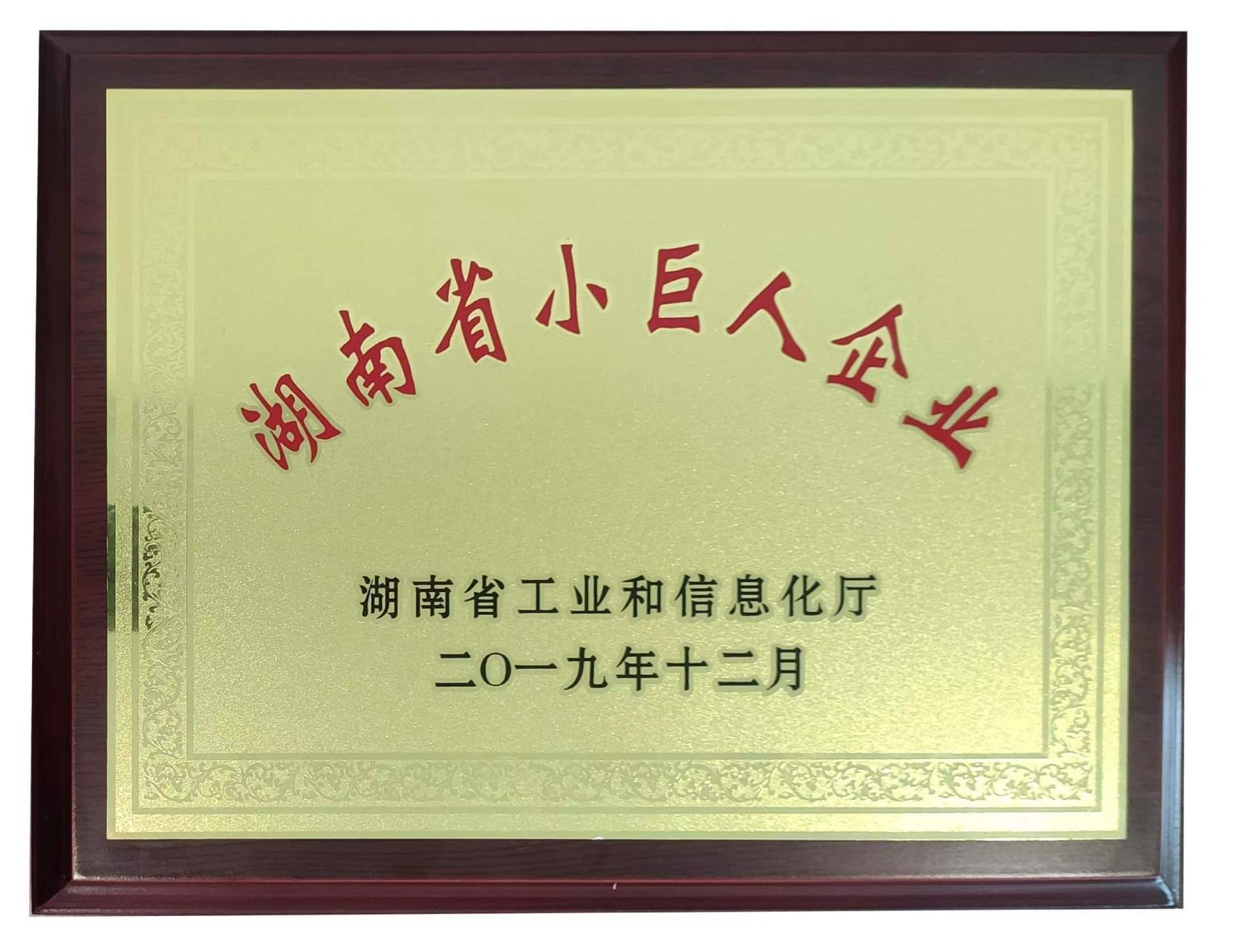 湖南省小巨人企业