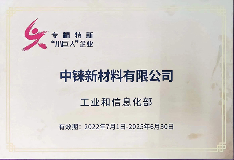 专精特新小巨人企业