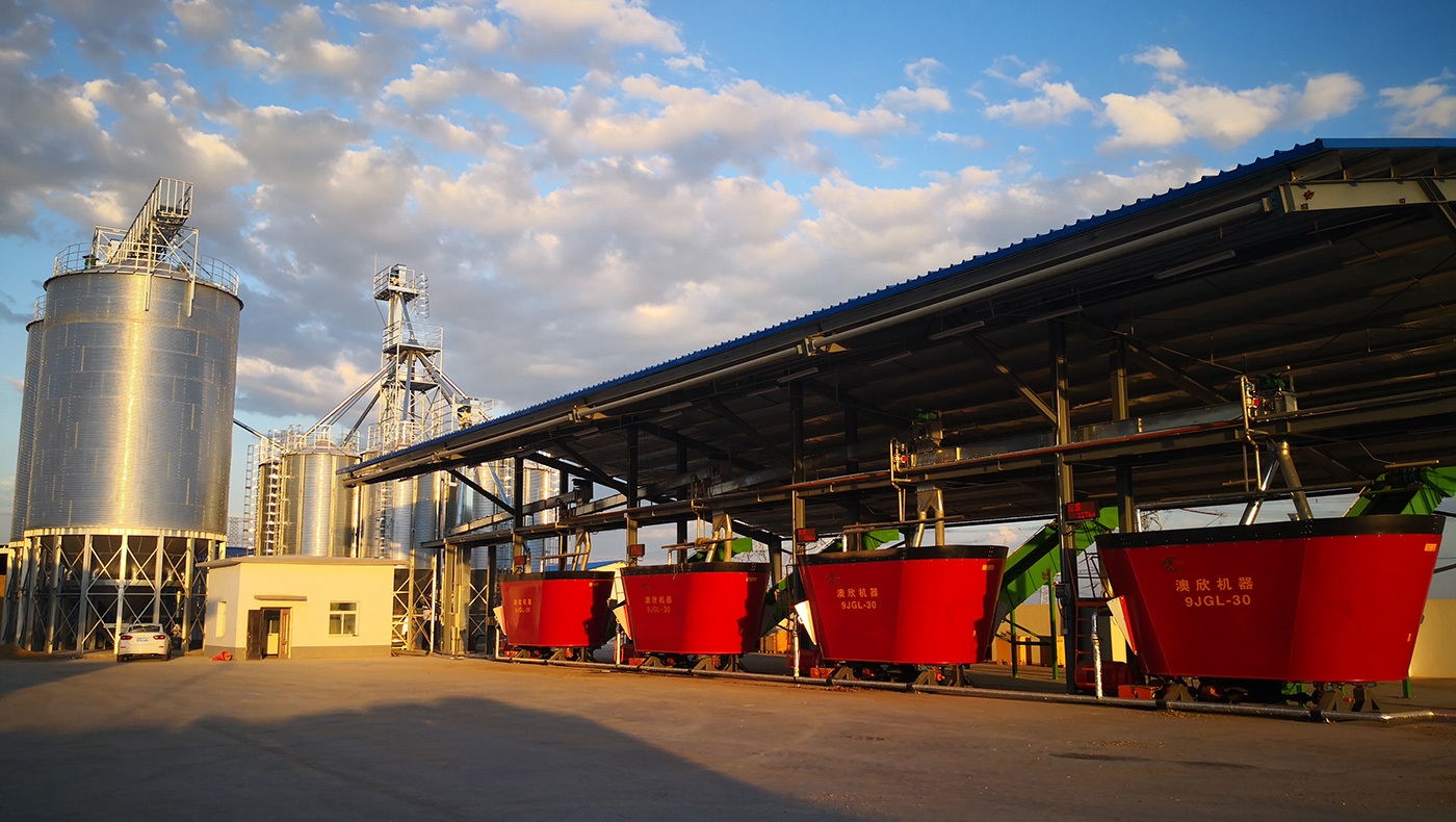 Ningxia Agricultural Reclamation Dairy Co., Ltd.: Feeding Center Project for the 10,000-Cow Dairy Farm of Ningxia Xingken Pastoral Co., Ltd. (The farm is designed to house and manage a herd of 13,000 dairy cows)