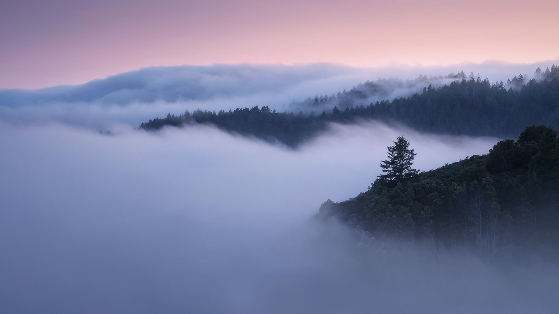 Leading with insight, Seeing the unseen