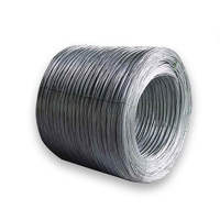 Steel Wire