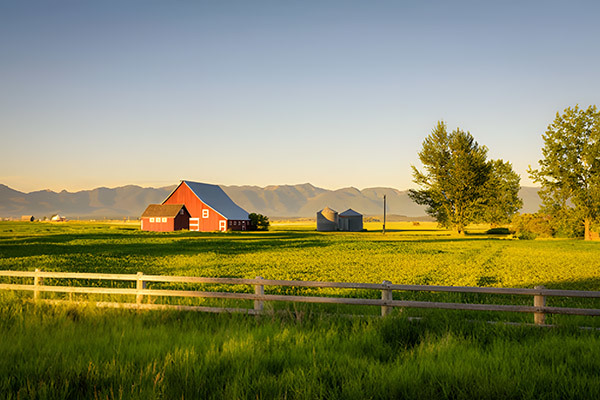 The new look of farms from multiple perspectives: intelligence, ecology, experience and transformation