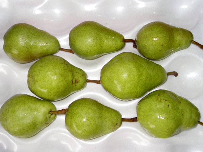 Calabash Pear