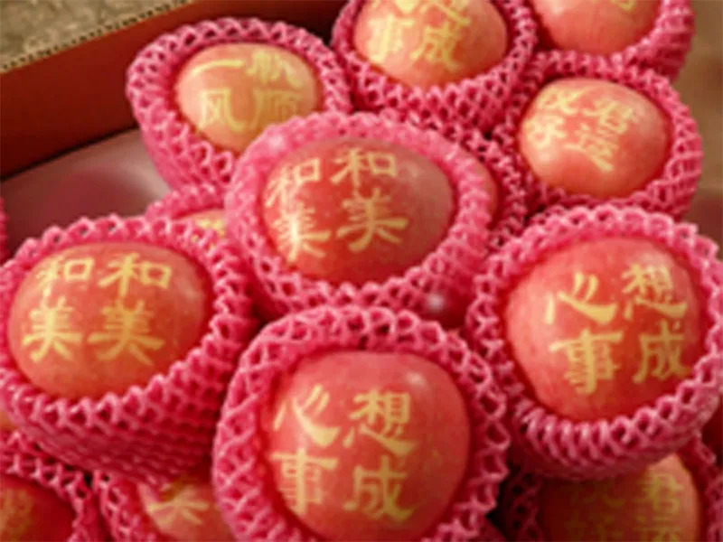 艺术苹果