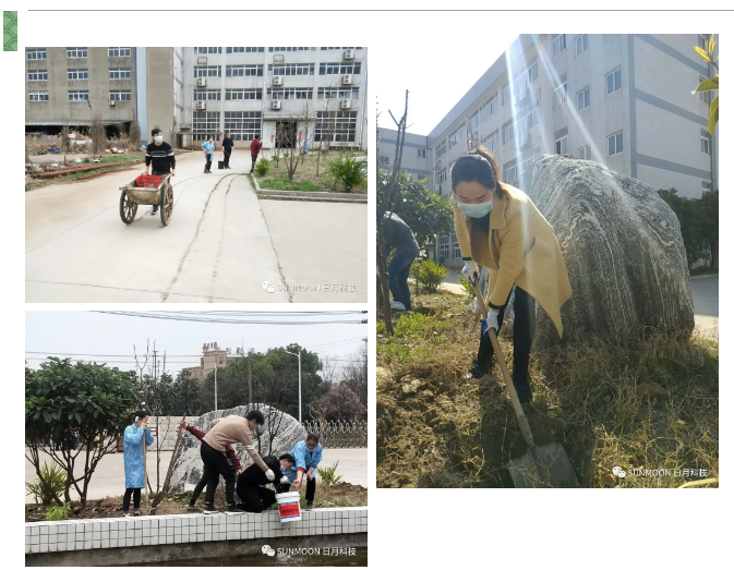 春光好，植树忙，赴一场与春天的约会