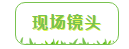 春光好，植树忙，赴一场与春天的约会