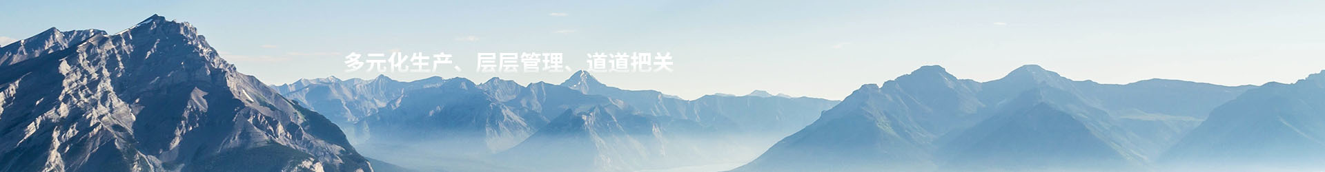 nybanner1