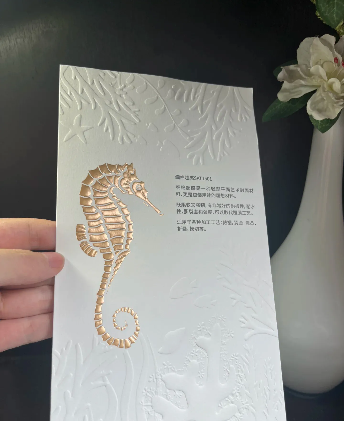 图片名称
