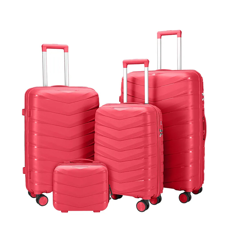 PP018  Travel luggage