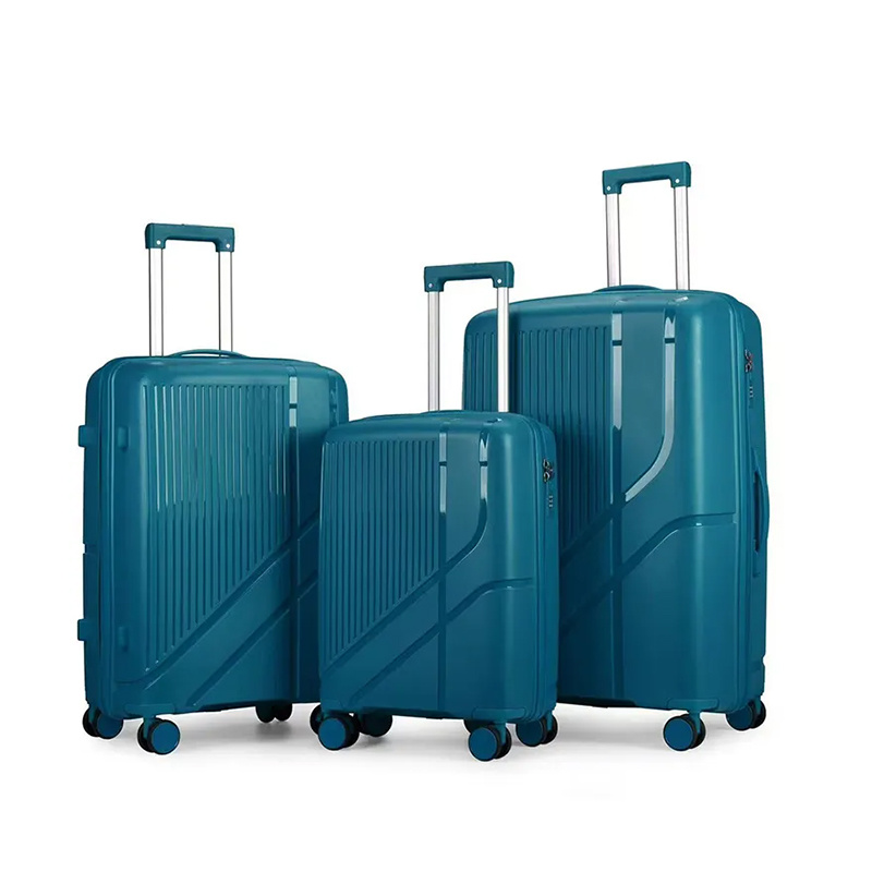 PP701  Travel luggage