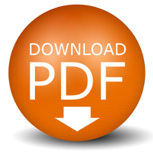 pdf pdf