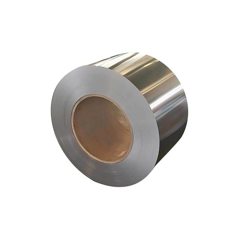 309/309S Stainless Steel Coil