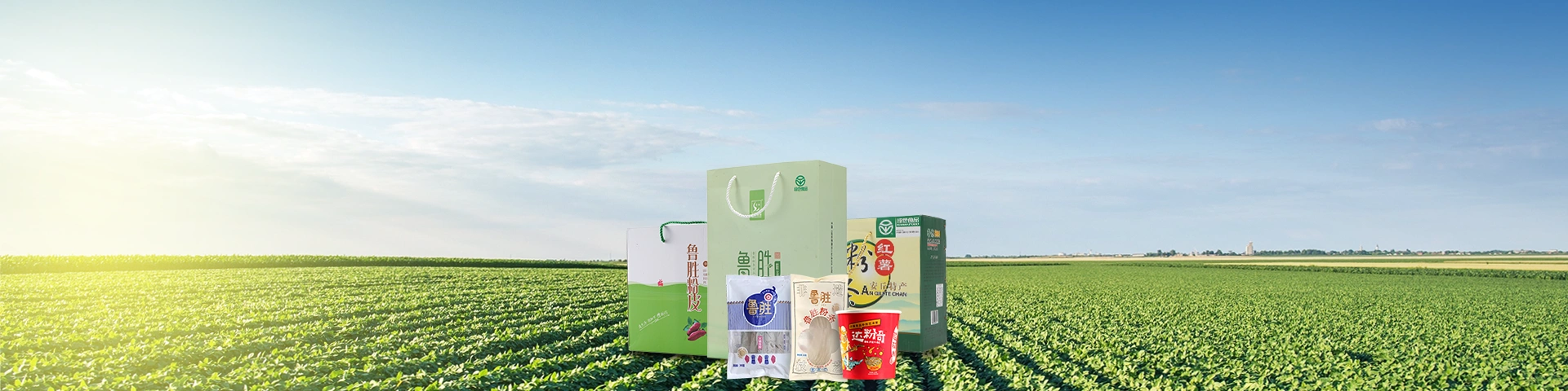产品中心