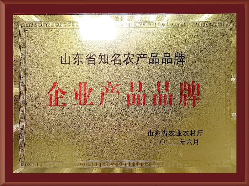 资质荣誉