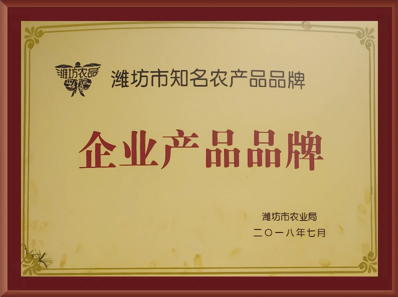 Qualifications and Honors