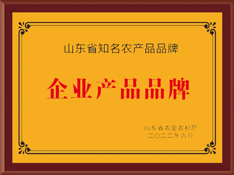 资质荣誉