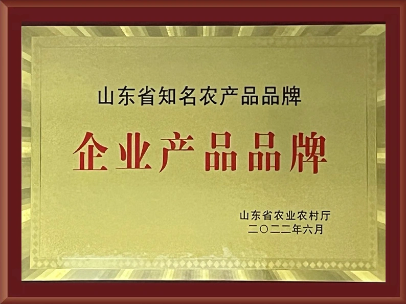 Qualifications and Honors