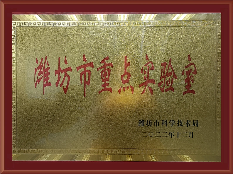 Qualifications and Honors