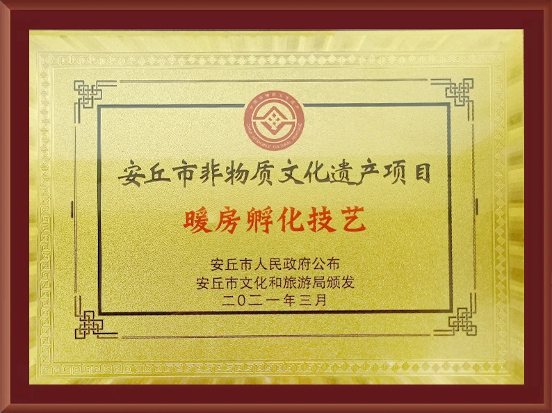 Qualifications and Honors