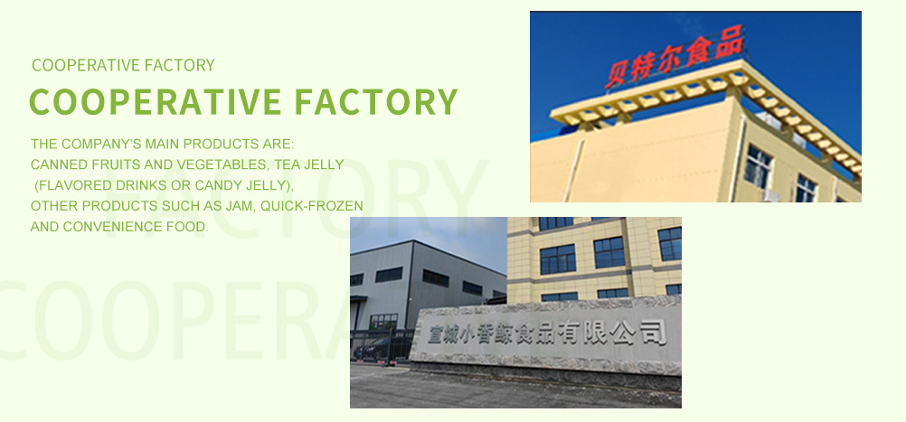  Partner factories 