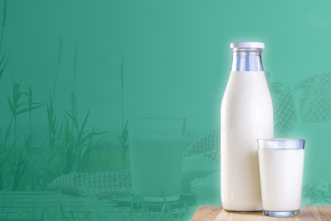 Fermentation Agent