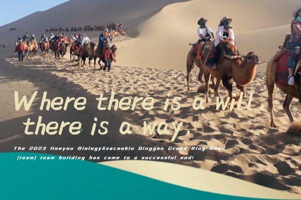Where there is a will, there is a way.