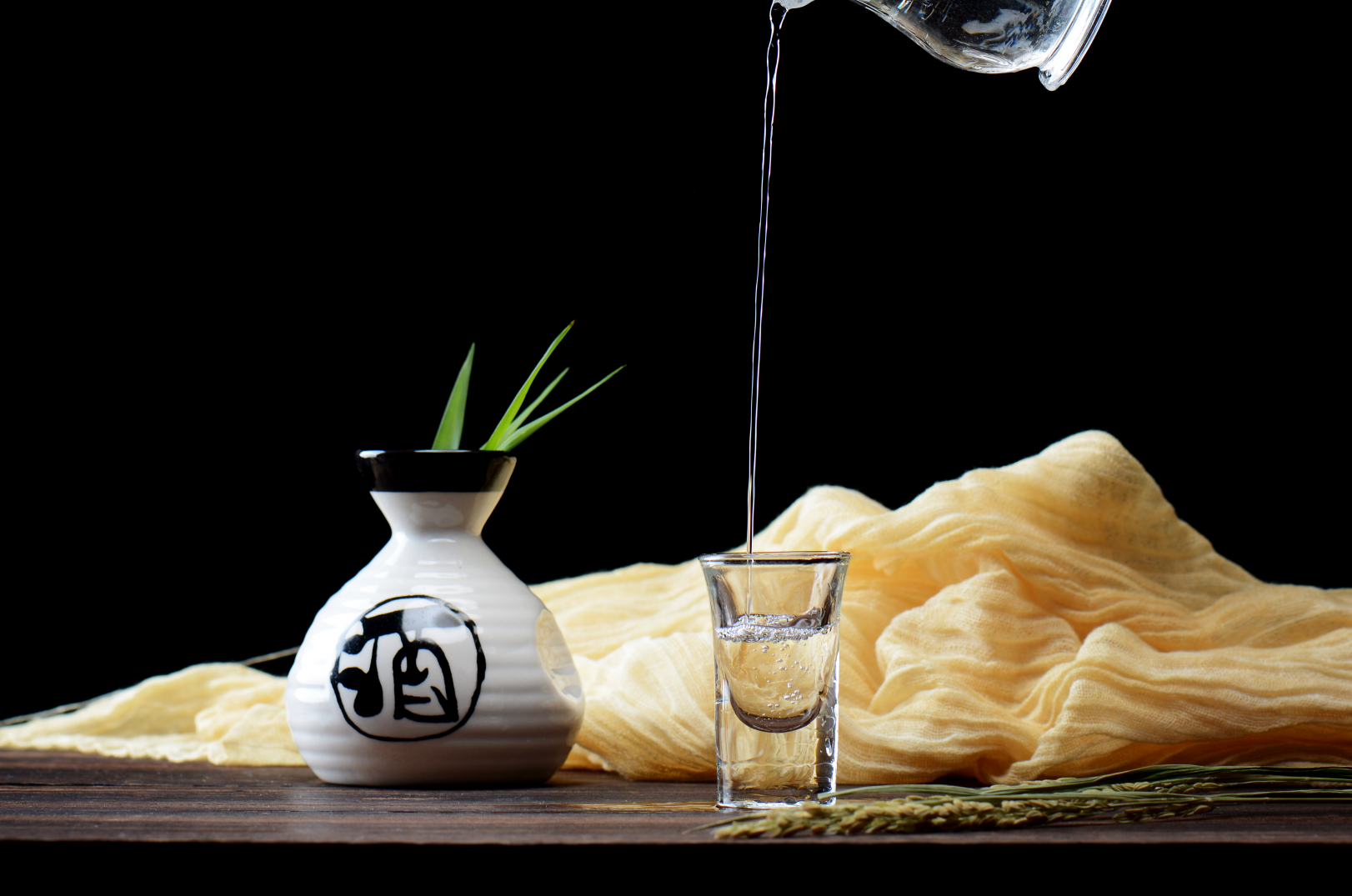 发酵粘液乳杆菌grx08：酒精性肝损伤的克星