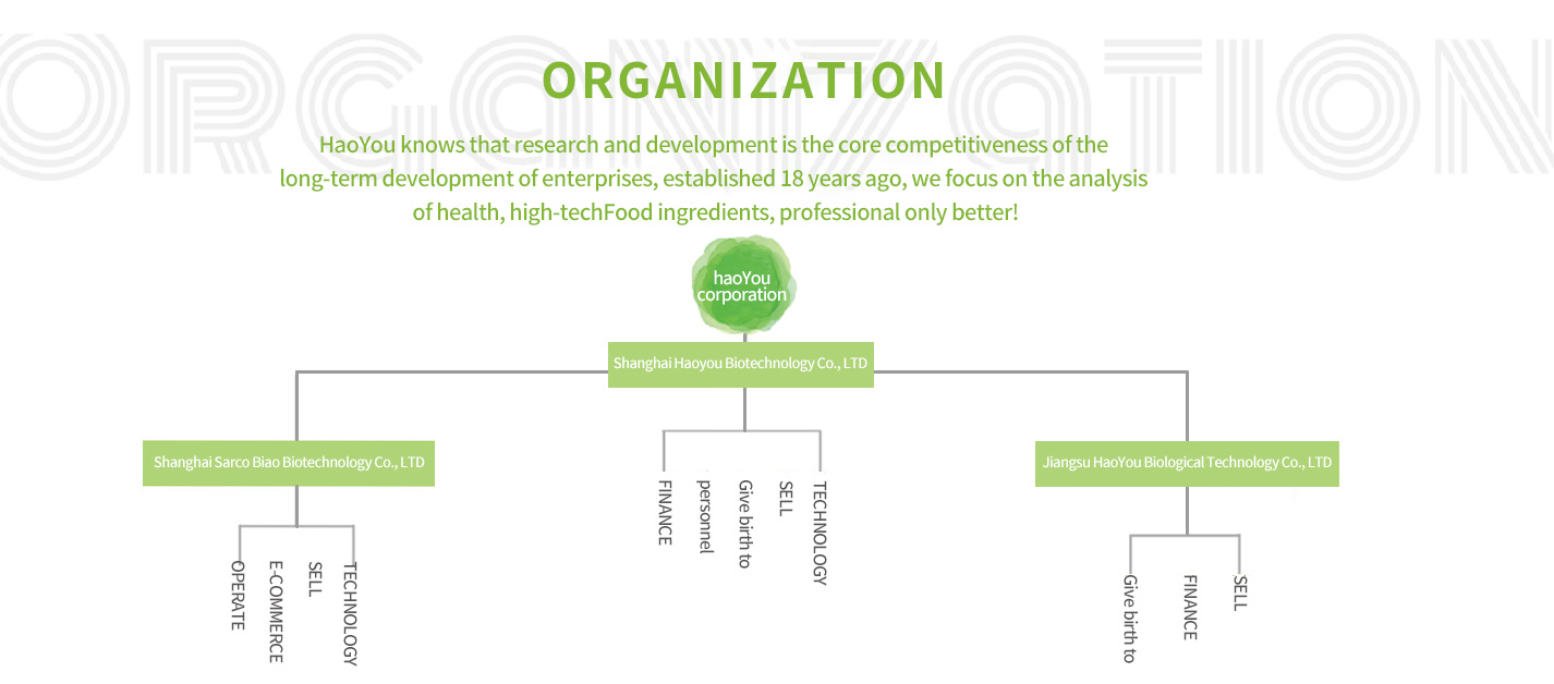  Organizational structure 