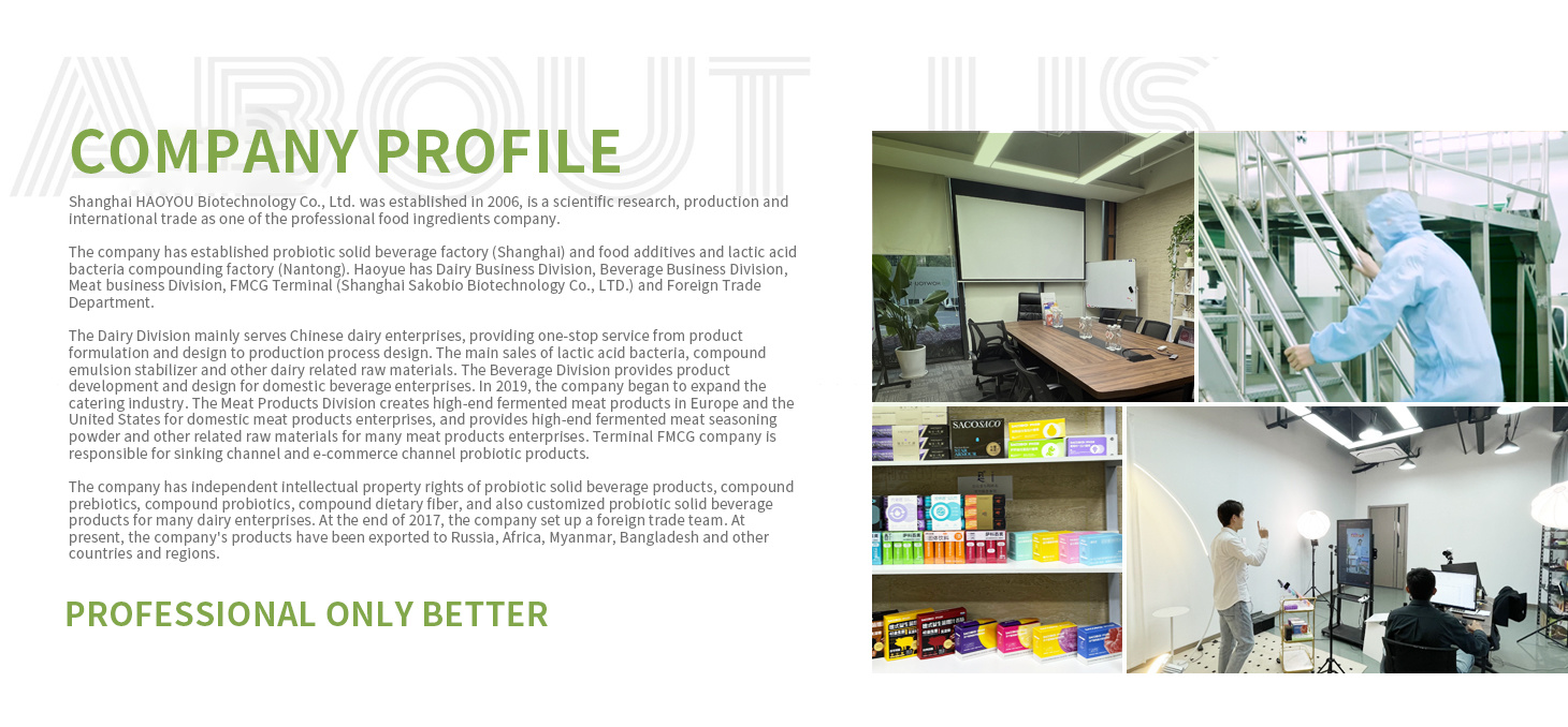  Company Profile 