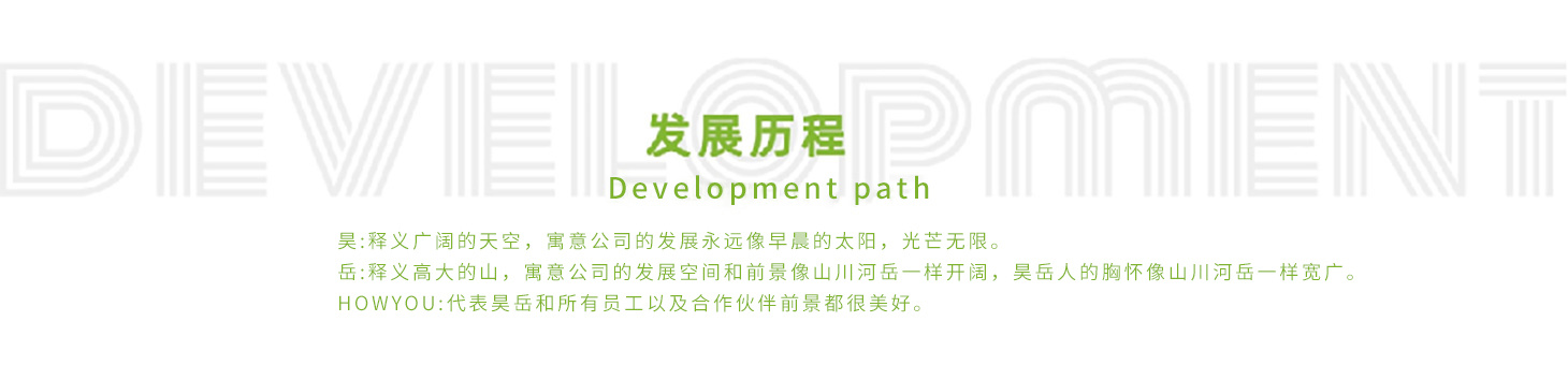 发展历程