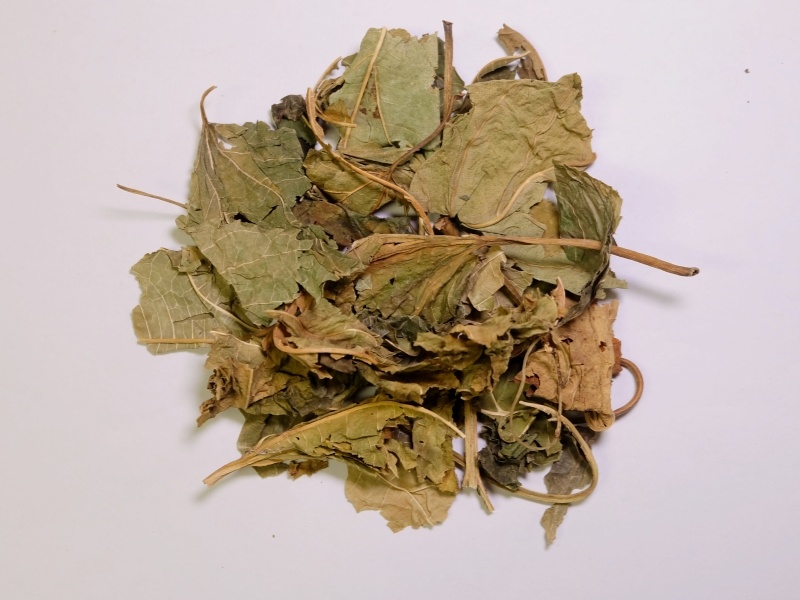 桑葉