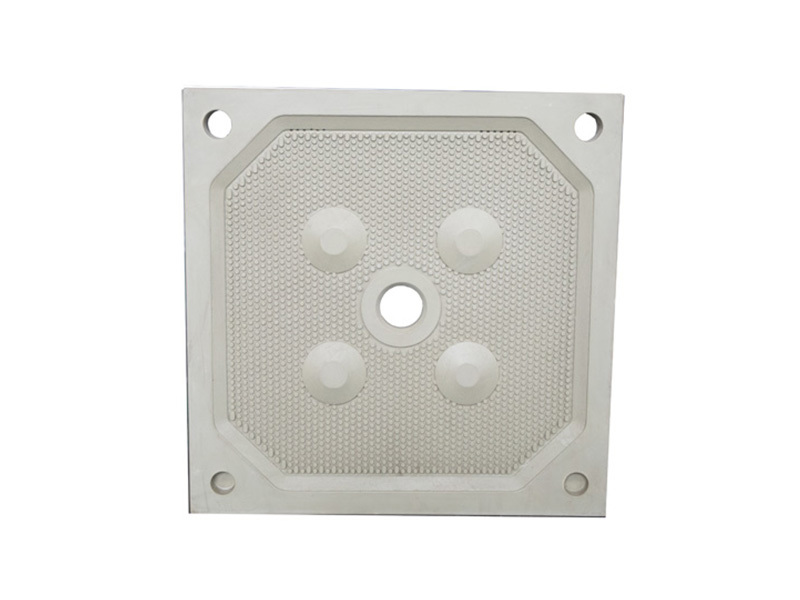 1000 With welded box-type filter plates