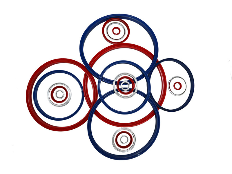 Cylinder sealing ring