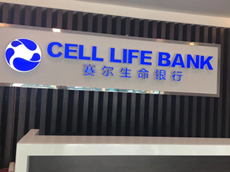 博鲨赛尔 博鲨赛尔