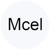 知识产权管理20-Mcel 知识产权管理20-Mcel