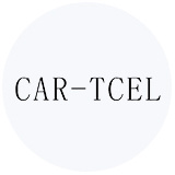 知识产权管理04-CAR-TCEL 知识产权管理04-CAR-TCEL