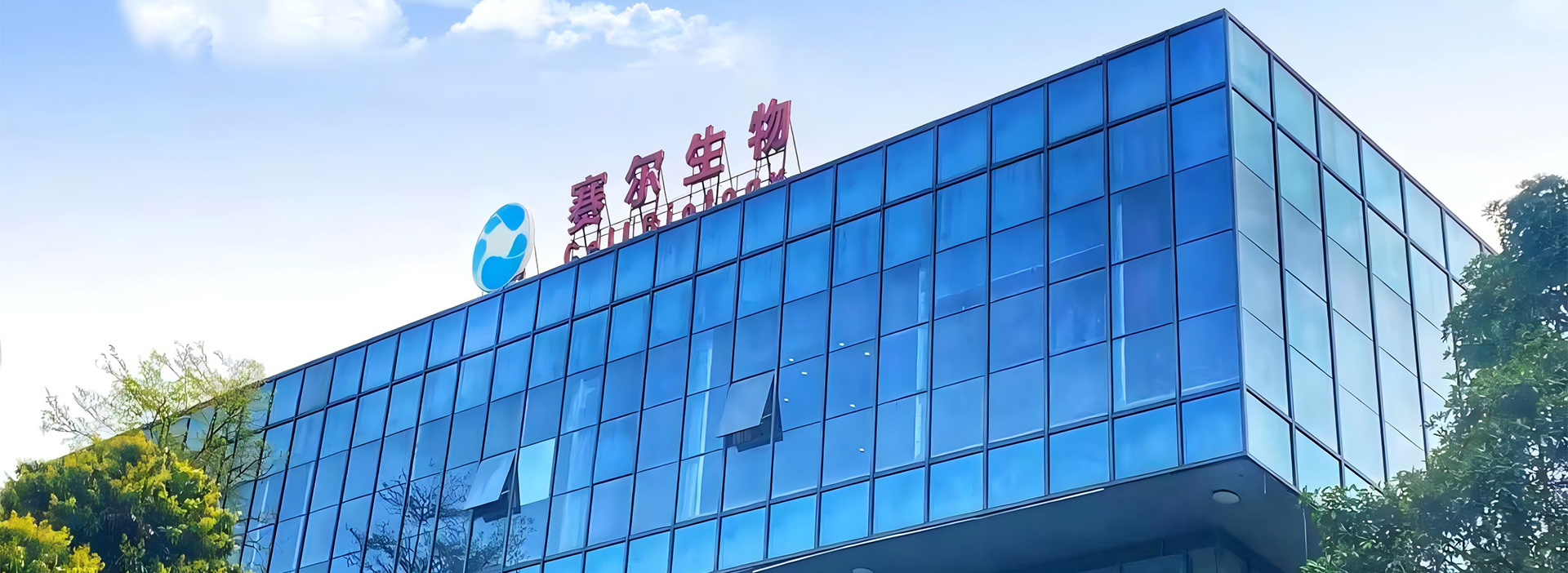 关于赛尔 关于赛尔