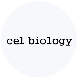 知识产权管理09-cel-biology 知识产权管理09-cel-biology