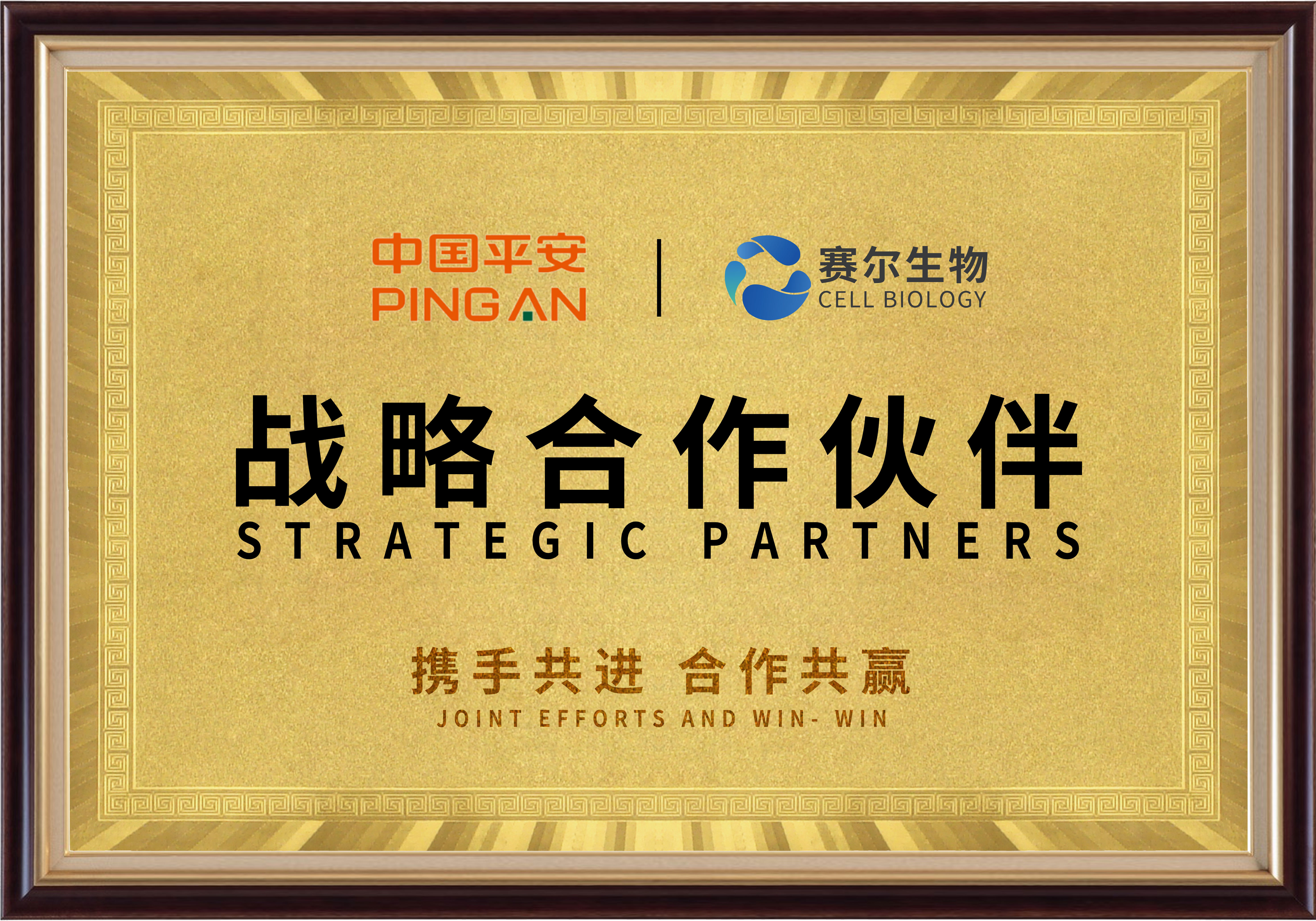 中国平安-战略合作伙伴 中国平安-战略合作伙伴