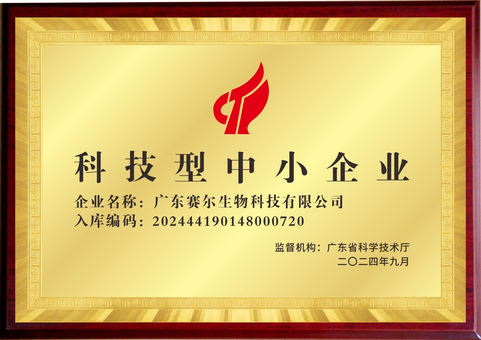 科技型中小企业 科技型中小企业