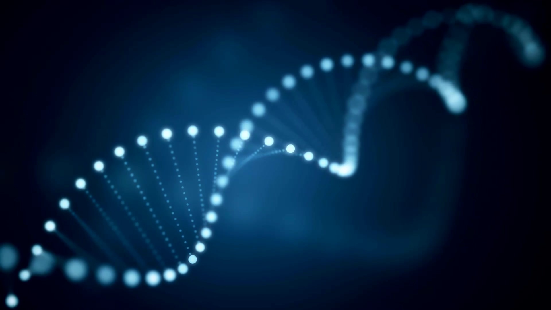 赛尔生物集团 赛尔生物集团