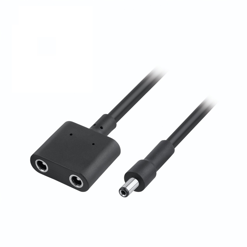 DC*2 Jack to DC Plug Cable