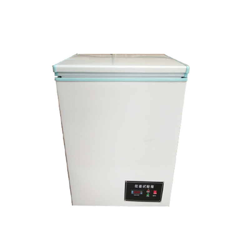 DW Low Temperature Test Chamber