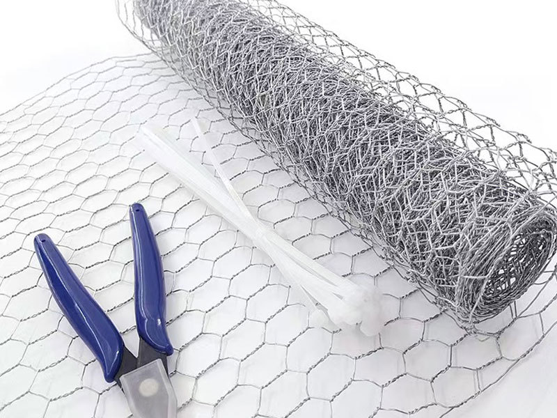 Hexagonal Wire Mesh Gains Popularity in South American Markets Hexagonal Wire Mesh Gains Popularity in South American Markets
