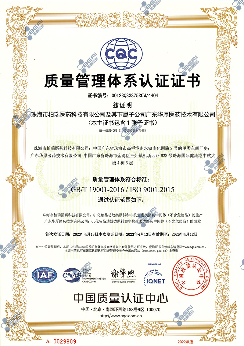 [中文] ISO 9001 - 质量管理体系认证证书