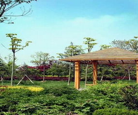 省市园展示