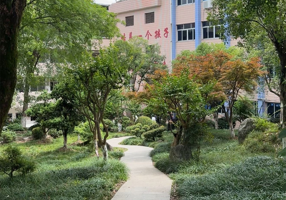 幽静绿径