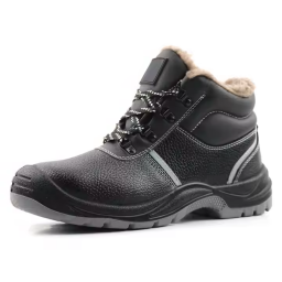 Safety Shoes 668