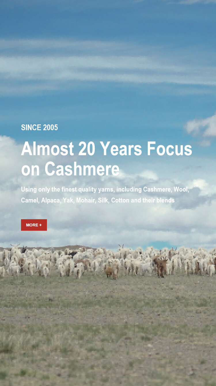 About Richman Cashmere